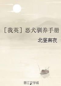 恶犬驯养指南,从失控到和谐共处的转变之路